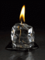 /album/photo-gallery-nnk-videos1/a03-gif1/
